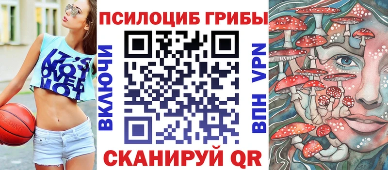 ОМГ ОМГ ONION  купить закладку  Артёмовский  Псилоцибиновые грибы Magic Shrooms 